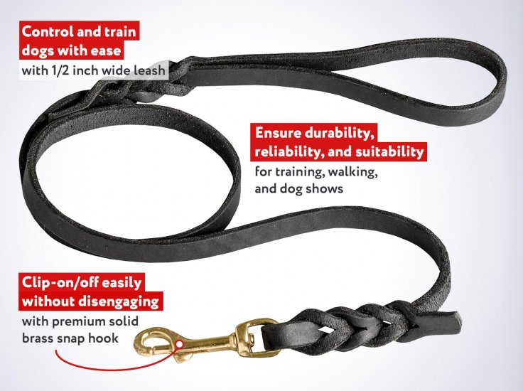 Leather Dog Lead for Active Lifestyle