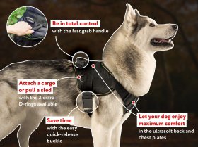Nylon Dog Harness for Tracking and Pulling with Wide Cushion-like Chest Plate