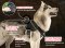 Nylon Dog Harness for Tracking and Pulling with Wide Cushion-like Chest Plate