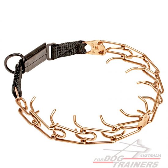 'Briar Patch' Pinch Prong Dog Collar with Click Clock System - Click Image to Close