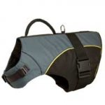 Rehabilitation / Winter Dog Nylon Vest