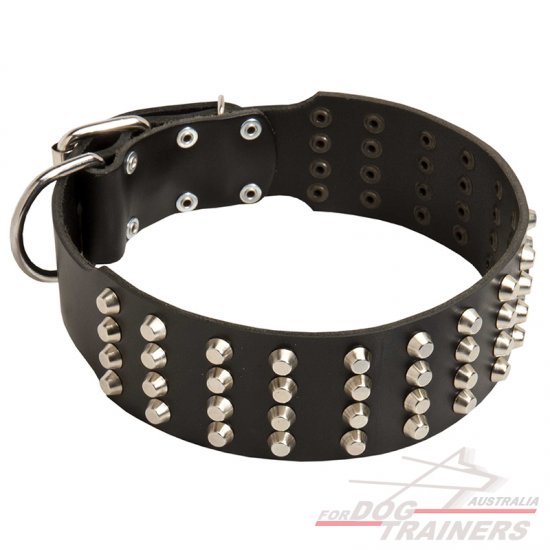 Extra wide shop leather dog collars