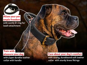 2 ply leather agitation dog collar with handle