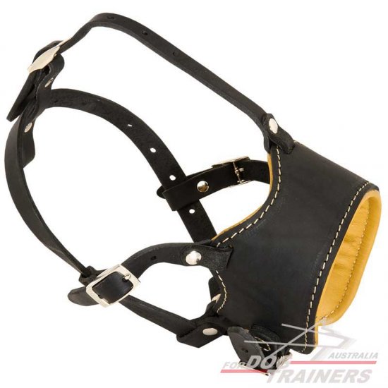 Leather Anti-Barking Padded Dog Muzzle