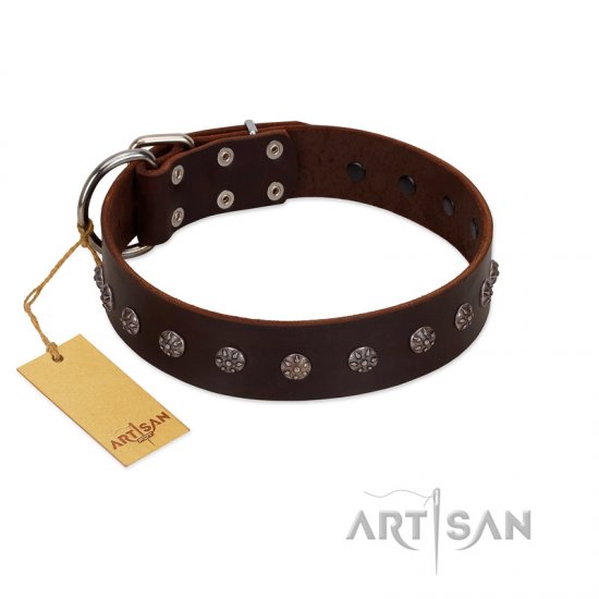 "Graceful Classic" Mod FDT Artisan Brown Leather dog Collar