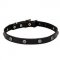 Leather Dog Collar with Engraved Round Studs - 'Cloak and Sword'