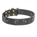 "Spring mood" Leather Dog Collar