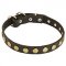 Gorgeous Leather Dog Collar