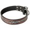 Designer Dog Collar with Fashionable Painting