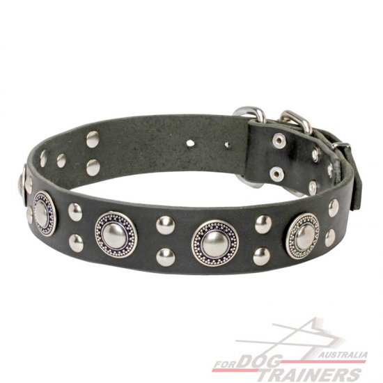 'Rock'n'Roll' Stylish Leather Dog Collar