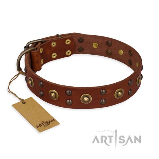 "Unfailing Charm" FDT Artisan Studded Tan Leather dog Collar - Click Image to Close
