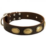 Splendid Vintage Ovals Leather Dog Collar