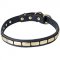 Quality Leather Dog Collar