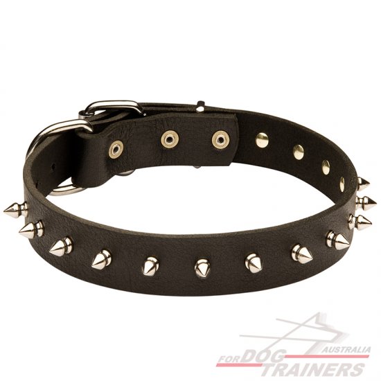 Leather Spiked Dog Collar