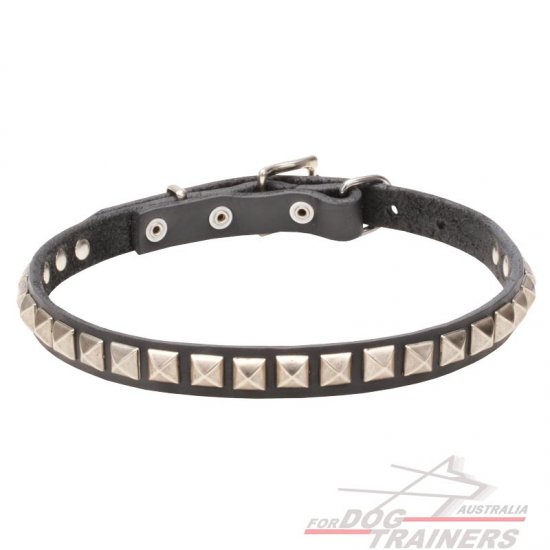 'King Studs' Leather Dog Collar with Chrome Plated Adornments - 4/5 inch (20 mm)