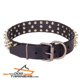 "Black Super Star" Leather Dog Collar with Brass Decorations