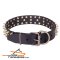 "Black Super Star" Leather Dog Collar with Brass Decorations