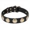 Leather Dog Collar Adorned with Brass Circles - 'Hip and Edgy'