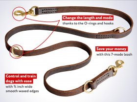 Leather Dog Leash for Training, Walking, Tracking
