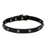 Leather Dog Collar with Engraved Round Studs - 'Cloak and Sword'