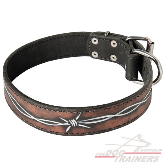 Designer Dog Collar with Fashionable Painting