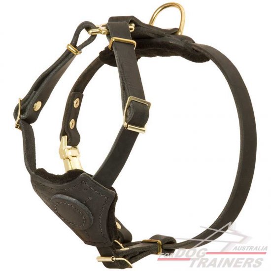 Buy Light Weight Padded Puppy Harness Walking Training Dog Harnesses