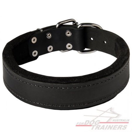 Durable Padded Leather Collar