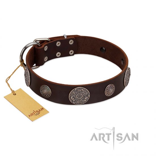 "Flashy Woof" FDT Artisan Brown Leather dog Collar with Chrome Plated Brooches