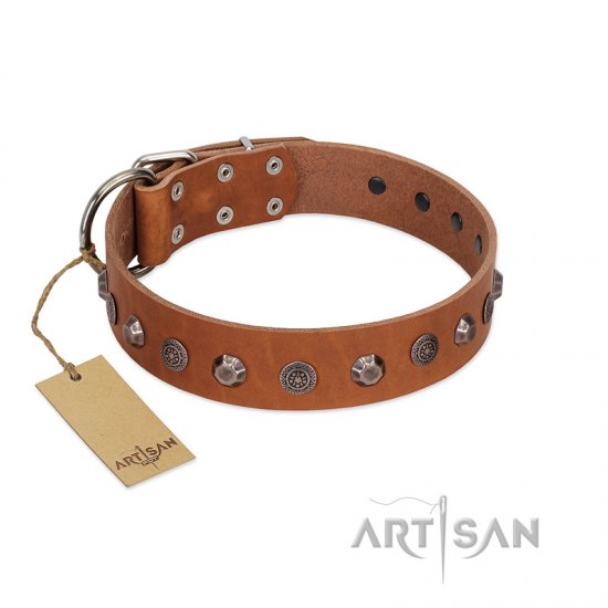 "Silver Age" Fashionable FDT Artisan Tan Leather dog Collar with Silver-Like Studs