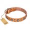 "Extra Sparkle" FDT Artisan Handcrafted Tan Leather dog Collar
