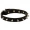 Stylish Leather Dog Collar with One Row Spikes