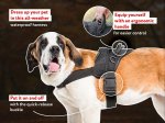 Lightweight Nylon Canine Harness for Tracking-Pulling Activities