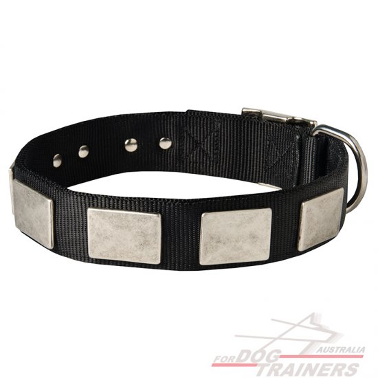 Fashionable Nylon Dog Collar with Vintage Plates