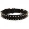 Waterproof Nylon Dog Collar with Spikes