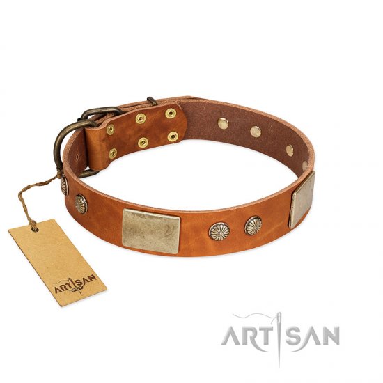 "Ancient Treasures" FDT Artisan Tan Leather dog Collar with Antiqued Plates and Studs