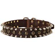 Designer Spiked and Studded Leather Dog Collar