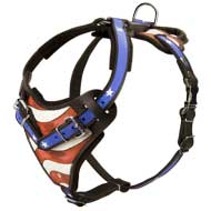 Designer Leather Dog Harness Hand Painted