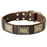 Walking Dog Collar Made of Leather