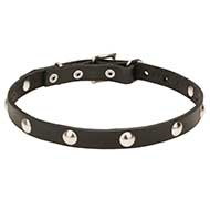 "Shiny Necklace" 4/5 inch (20 mm) Leather Dog Collar with Half-Ball Chrome Plated Studs