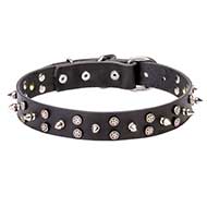"Star-studded Sky" Leather Dog Collar