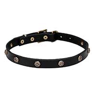 Leather Dog Collar with Engraved Round Studs - 'Cloak and Sword'