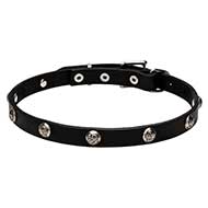 4/5 inch - 20 mm Leather Dog Collar "Lucky" with Nickel Plated Engraved Studs