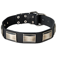 Wide Leather Dog Collar for Walking