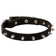 Stylish Leather Dog Collar with One Row Spikes