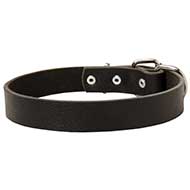 Elegant Smooth Leather Dog Collar