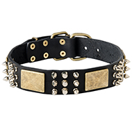 Gorgeous Leather Dog Collar