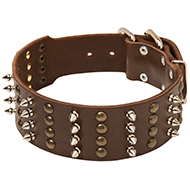 Spiked and Studded Extra Wide Leather Collar
