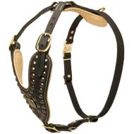 Luxury Designer Padded Leather Dog Harness