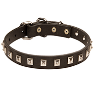 New Caterpillar Style Leather Dog Collar