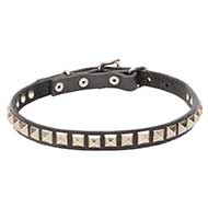 'King Studs' Leather Dog Collar with Chrome Plated Adornments - 4/5 inch (20 mm)